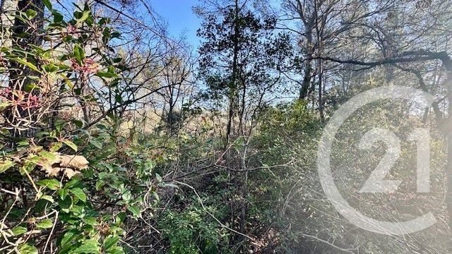 terrain à vendre - 1225.0 m2 - SOLLIES TOUCAS - 83 - PROVENCE-ALPES-COTE-D-AZUR - Century 21 Le Rocher