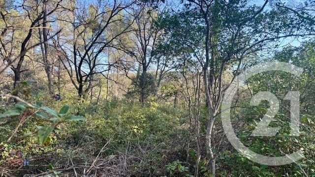 terrain à vendre - 1225.0 m2 - SOLLIES TOUCAS - 83 - PROVENCE-ALPES-COTE-D-AZUR - Century 21 Le Rocher